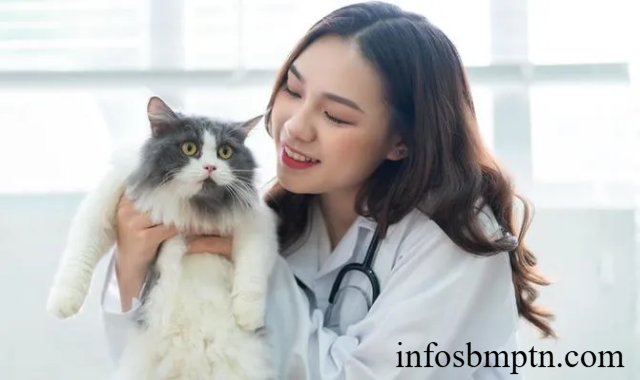 Jurusan Kedokteran Hewan: Peluang Karier & Tips Sukses