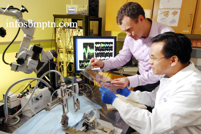 Jurusan Teknik Biomedis: Prospek Karier